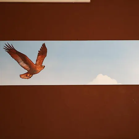 'e Monte Auberge de jeunesse